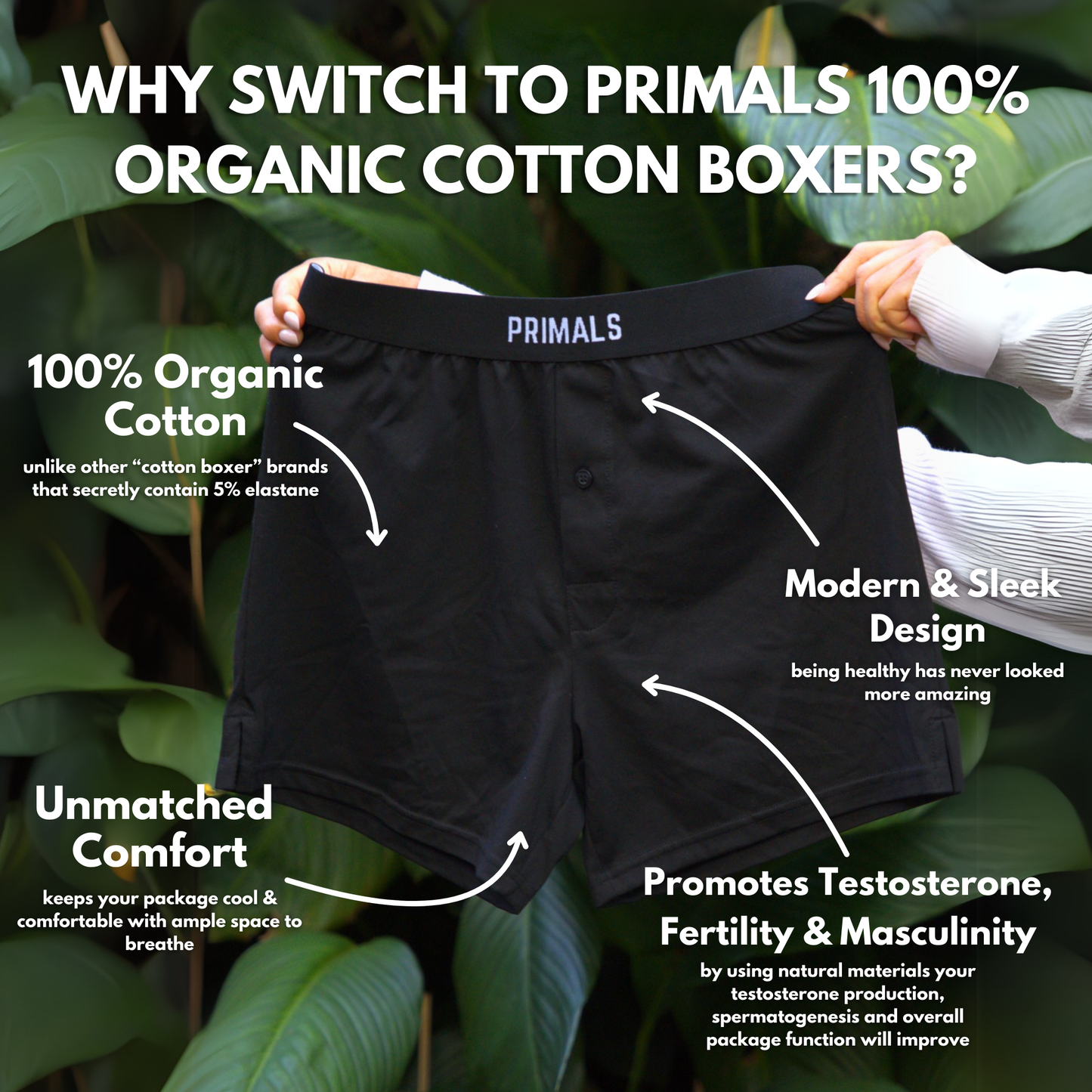 PRIMALS Organic Cotton Boxers (3 Pack)