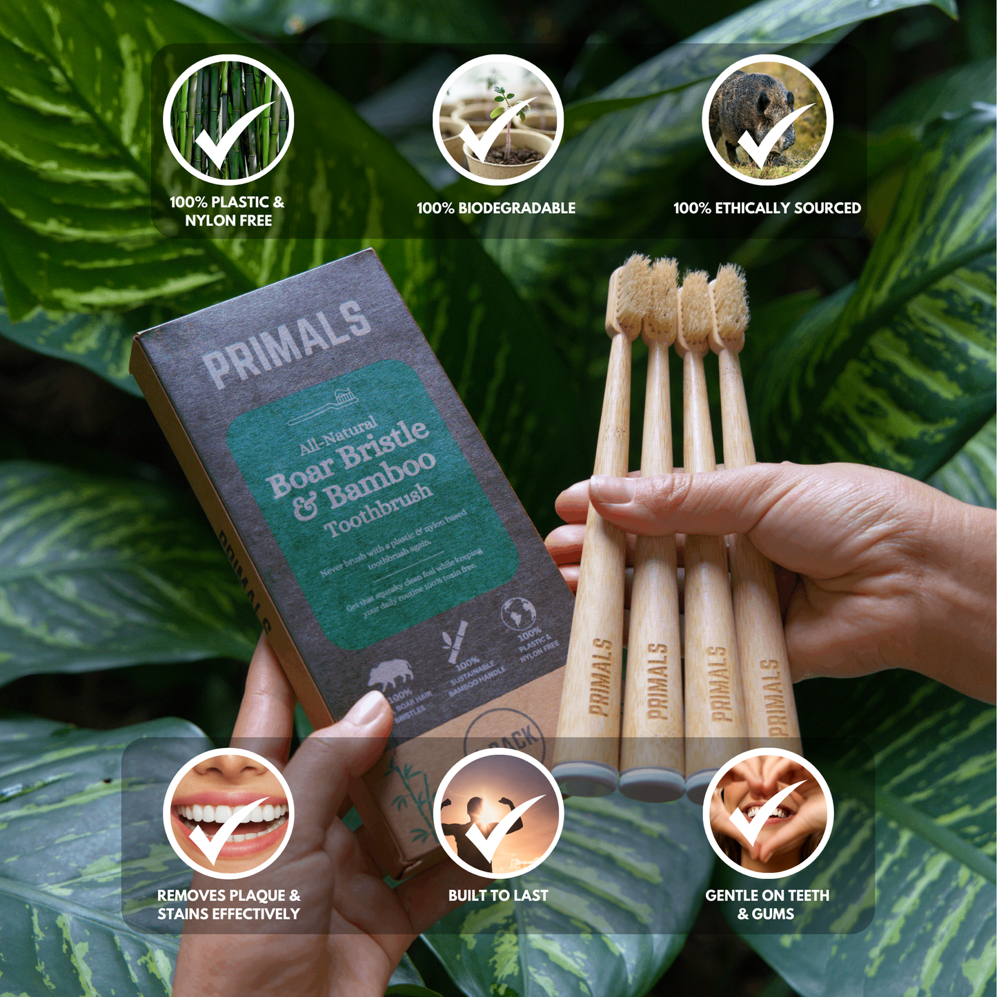 PRIMALS Boar Bristle & Bamboo Toothbrush (4 Pack)