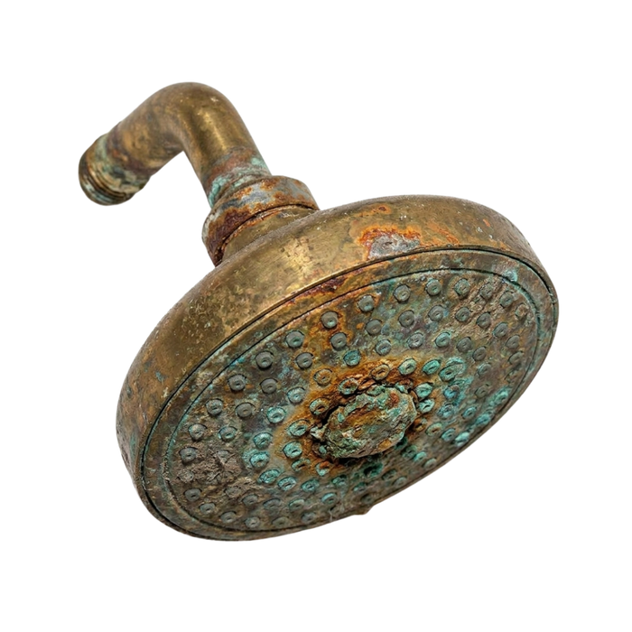 Generic showerhead