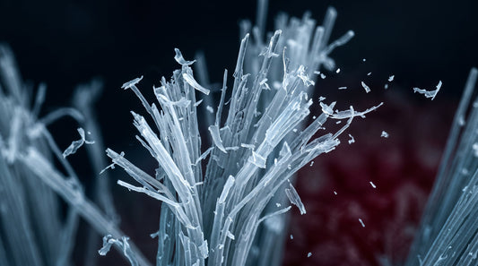Your Sonicare Handle Deserves a Better Head. Here Is the Natural Bristle Upgrade.