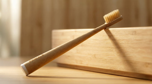 Boar Bristle Toothbrush: Non-Toxic Oral Care Guide