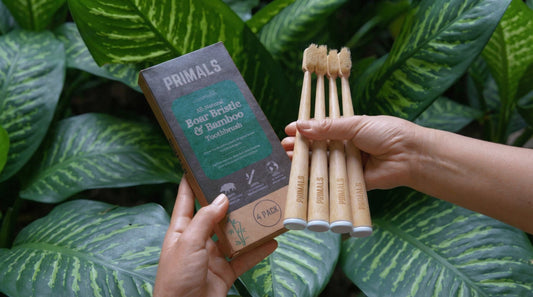hands holding PRIMALS boar bristle bamboo toothbrush box and brushes surrounded by tropical green leaves