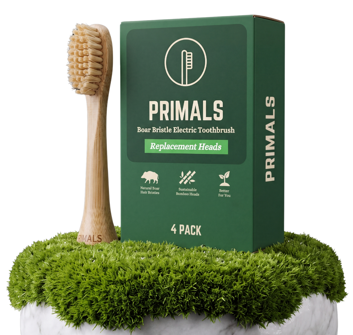 PRIMALS Boar Bristle Electric Toothbrush Replacement Heads, 4 pack, shown as a bamboo brush head with natural boar bristles standing beside its green box on moss and white marble.