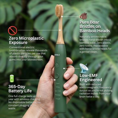 PRIMALS Boar Bristle Electric Toothbrush