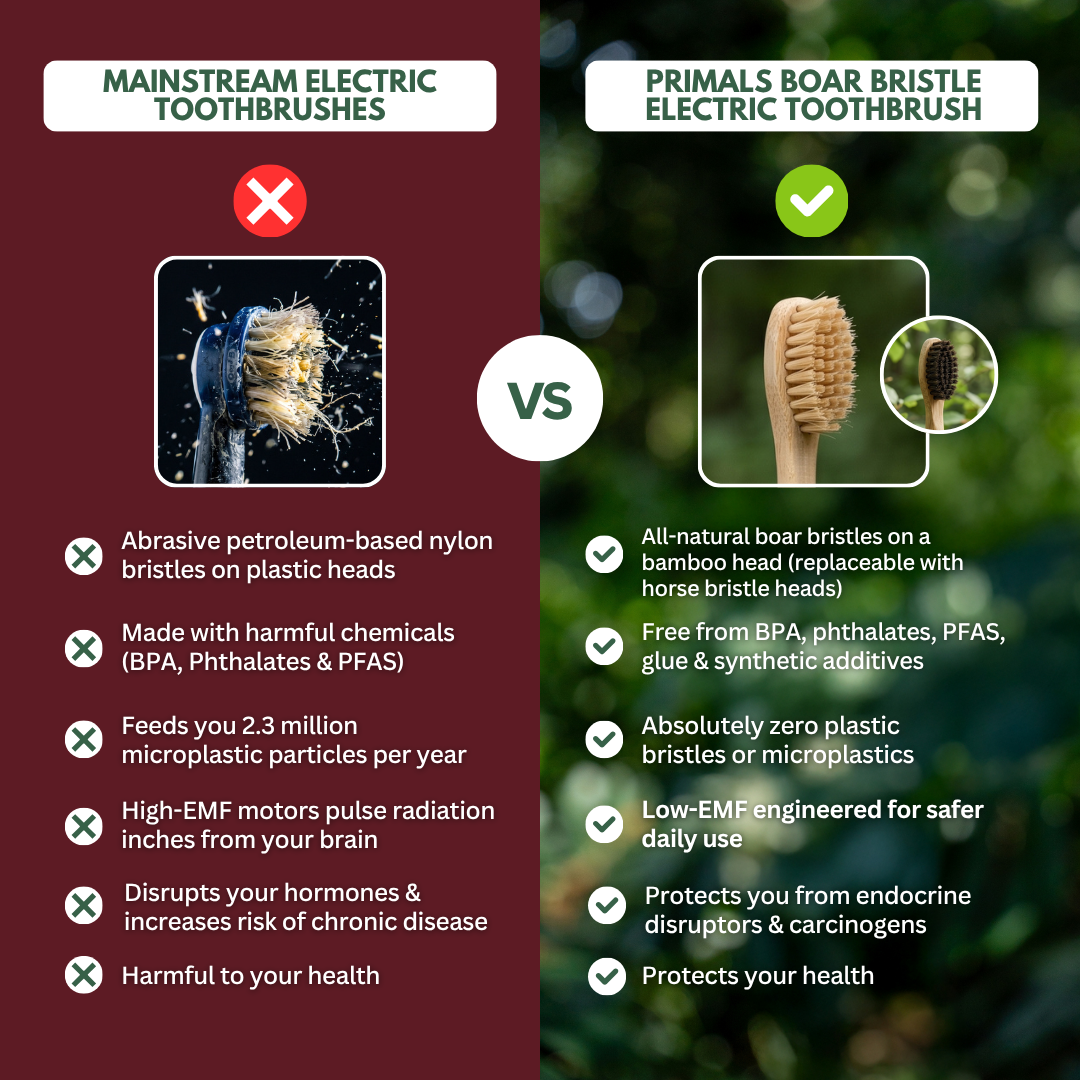 PRIMALS Boar Bristle Electric Toothbrush