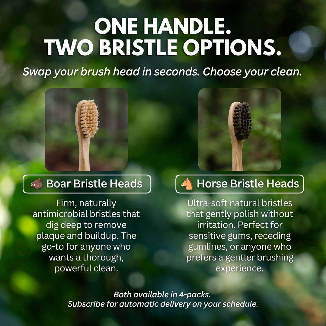 PRIMALS Horse Bristle Electric Toothbrush Replacement Heads (4 Pack)