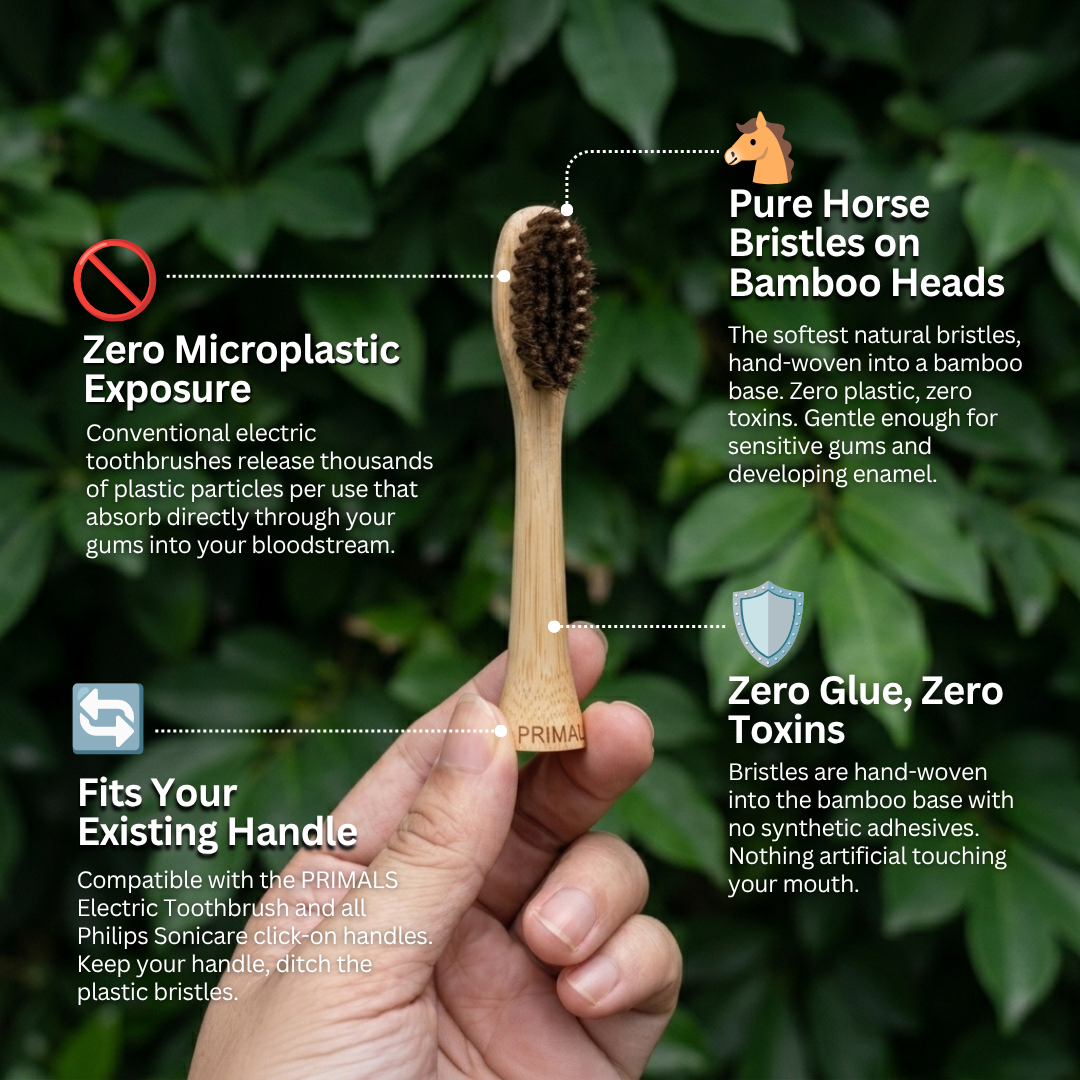 PRIMALS Horse Bristle Electric Toothbrush Replacement Heads (4 Pack)
