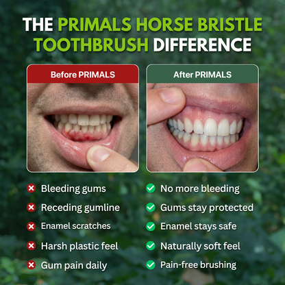 PRIMALS Horse Bristle & Bamboo Toothbrush (4 Pack)