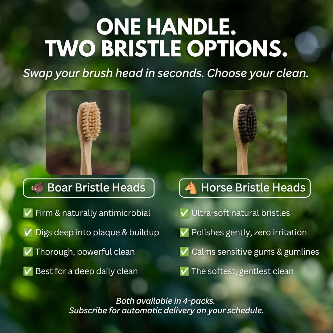 PRIMALS Horse Bristle Electric Toothbrush Replacement Heads (4 Pack)