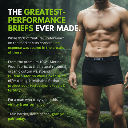 PRIMALS Merino Wool Boxer Brief