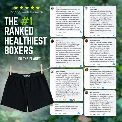 PRIMALS Organic Cotton Boxers (3 Pack)