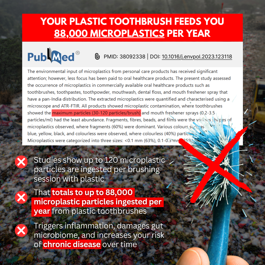 PRIMALS Horse Bristle & Bamboo Toothbrush (4 Pack)