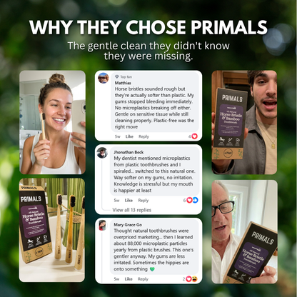 PRIMALS Horse Bristle & Bamboo Toothbrush (4 Pack)
