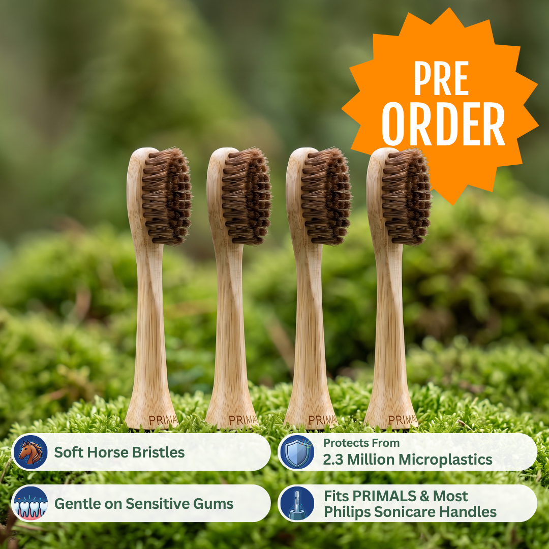 PRIMALS Horse Bristle Electric Toothbrush Replacement Heads (4 Pack)