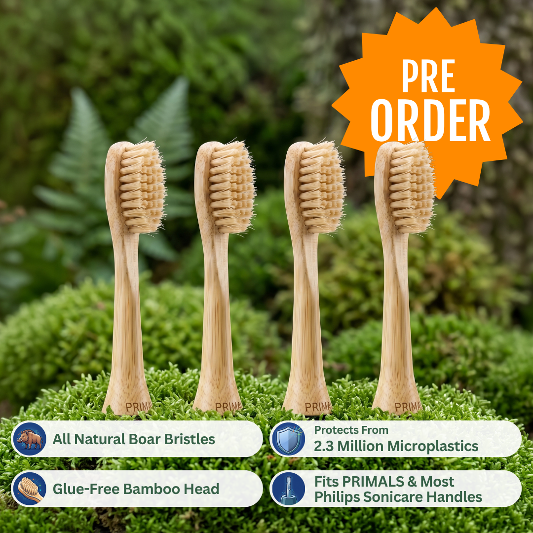 PRIMALS Boar Bristle Electric Toothbrush Replacement Heads (4 Pack)