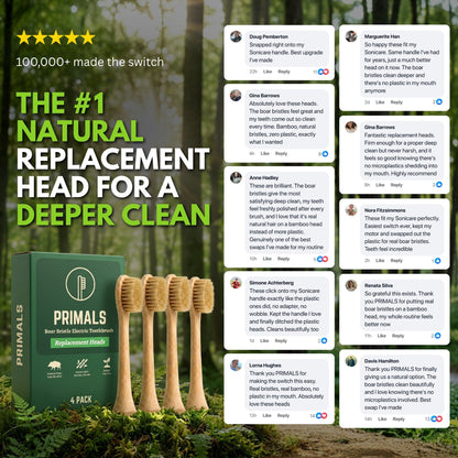 PRIMALS boar bristle replacement heads and 4-pack box beside eleven five-star customer comments praising the deep clean.