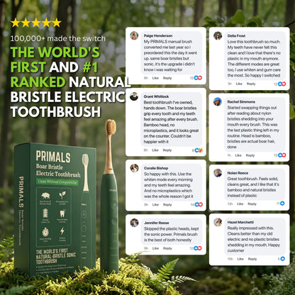 PRIMALS boar bristle electric toothbrush and green box beside eight customer comments praising its plastic-free design.